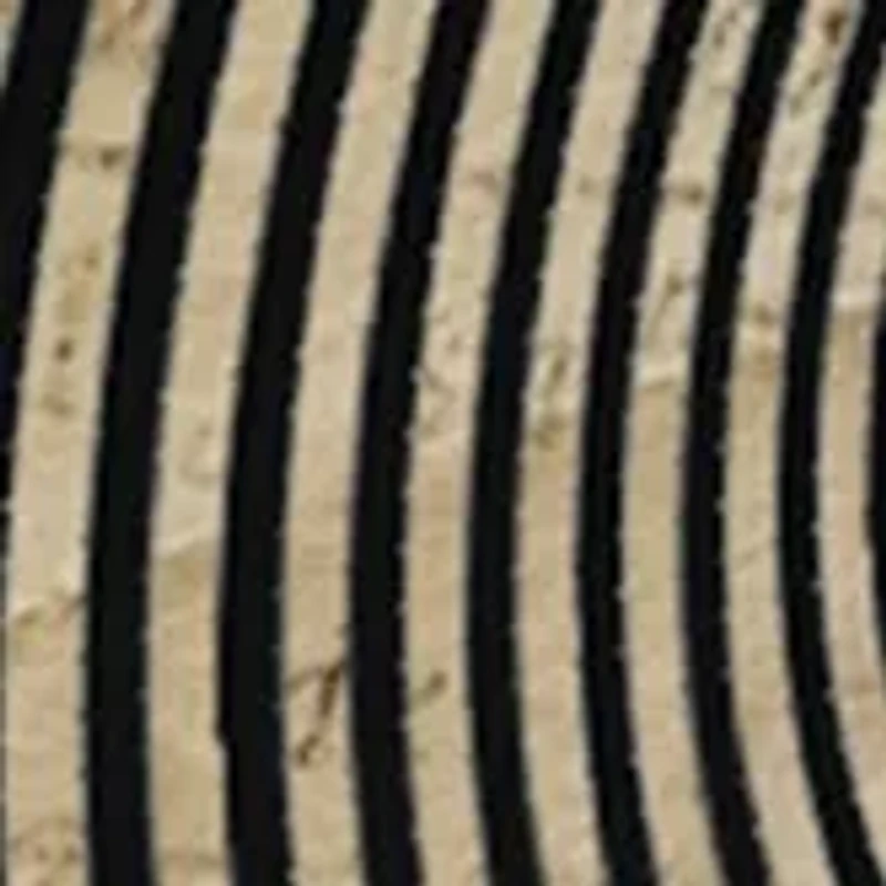 The Crazy Scientist Lab - Optical Illusions