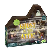 Ghost in the Attic