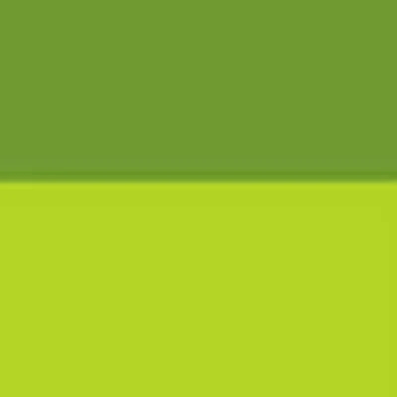  Christopher Marley - Exquisite Creatures: Insect Art Puzzle: 1000 Pieces