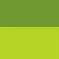  Christopher Marley - Exquisite Creatures: Insect Art Puzzle: 1000 Pieces