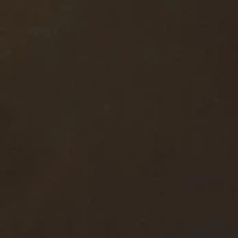 Zoom! Wooden Gravity Toy