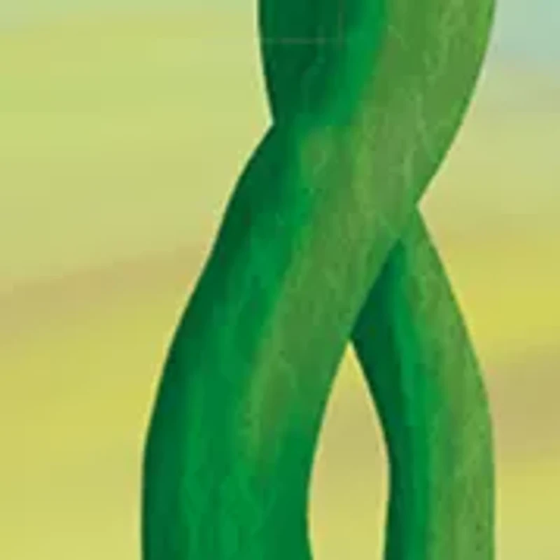 Jack and the Beanstalk - Deluxe