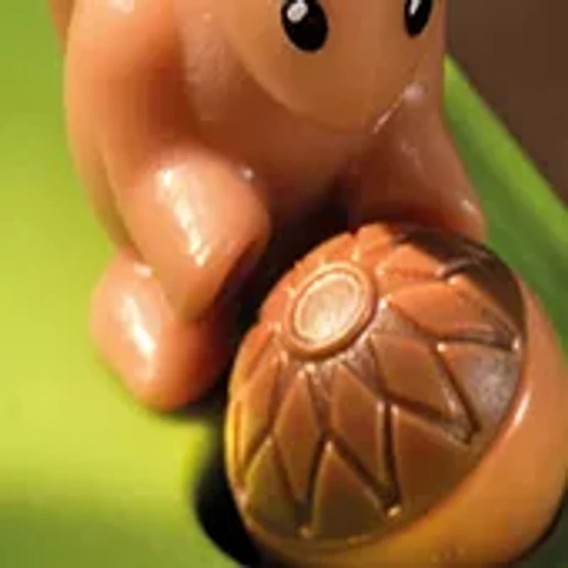 Squirrels Go Nuts!