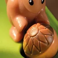 Squirrels Go Nuts!