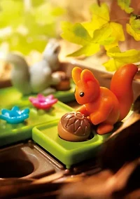 Squirrels Go Nuts!