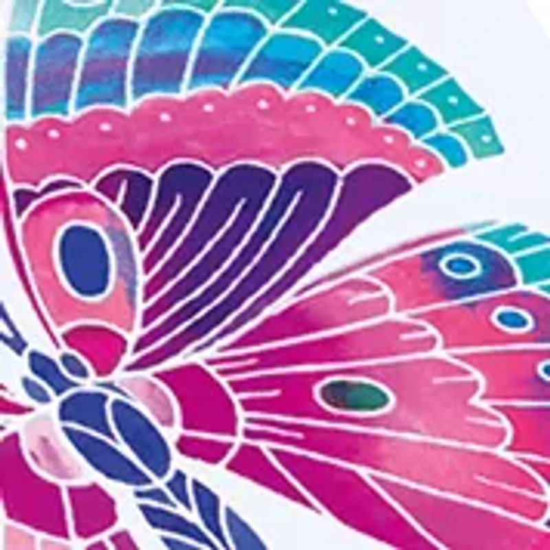 Aquarellum Junior Craft Kit - Butterflies & Flowers