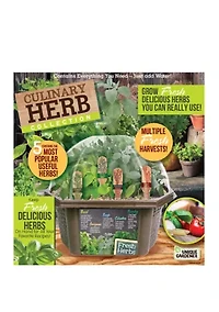 Biosphere Terrarium Culinary Herb Collection