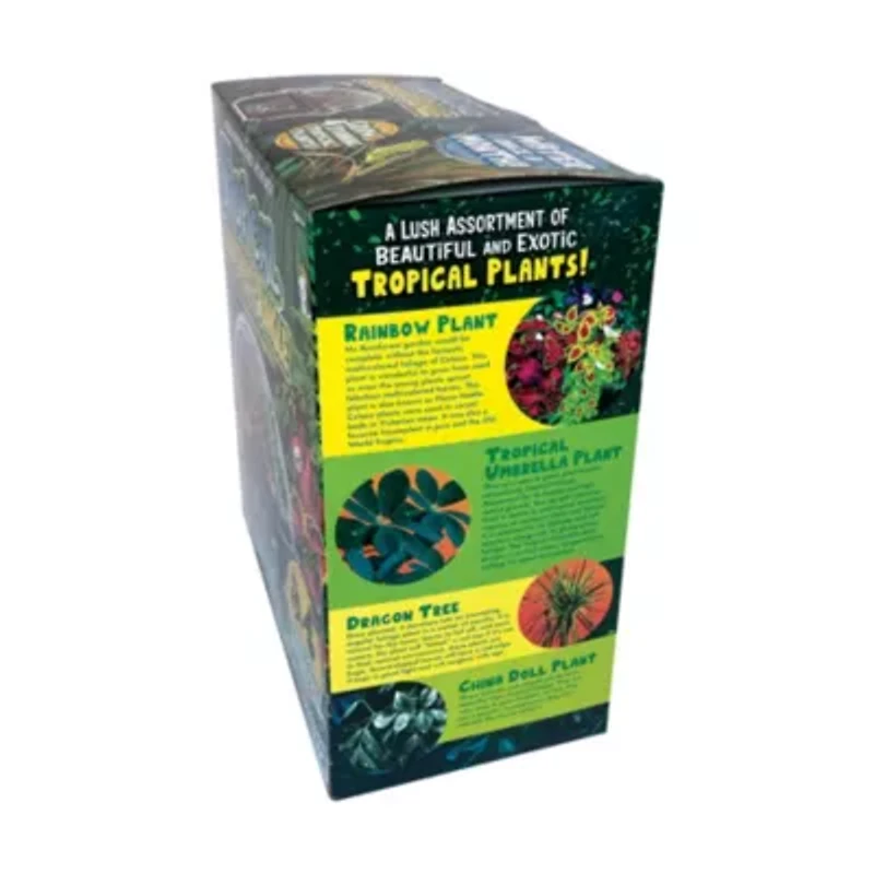 Biosphere Terrarium - Tropical Rainforest Jungle