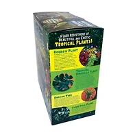 Biosphere Terrarium - Tropical Rainforest Jungle