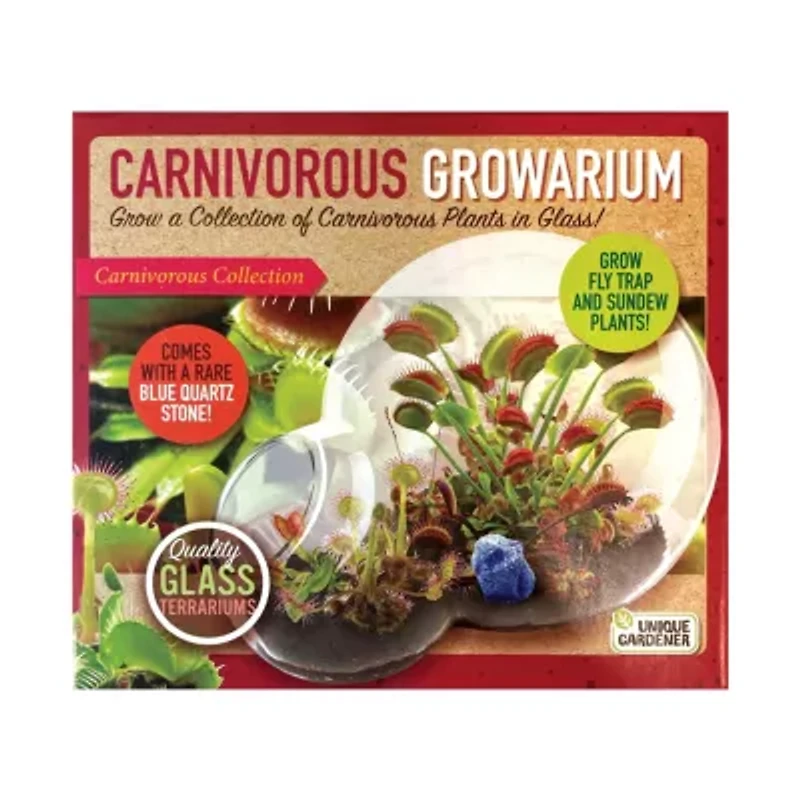 Double Sphere Glass Terrarium - Carnivorous Growarium