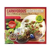 Double Sphere Glass Terrarium - Carnivorous Growarium