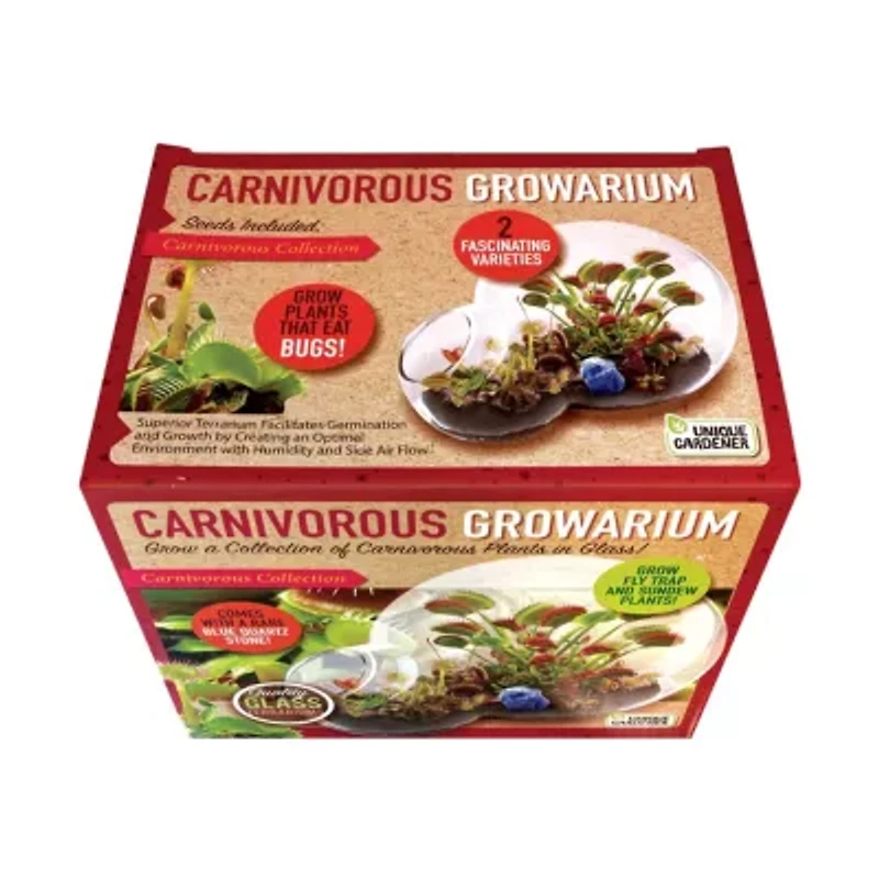 Double Sphere Glass Terrarium - Carnivorous Growarium