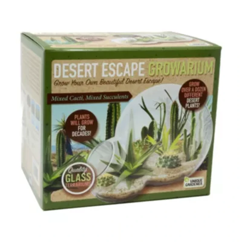 Double Sphere Glass Terrarium - Desert Escape Growarium