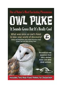 Owl Puke