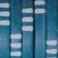 Bicycle Clay Poker Chip Set: 100 Count