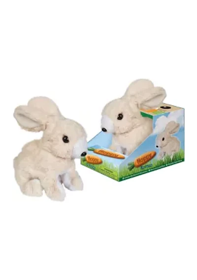 Hoppy the Rabbit