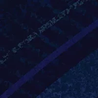 Pandemic Strategy Game: Legacy Season 1