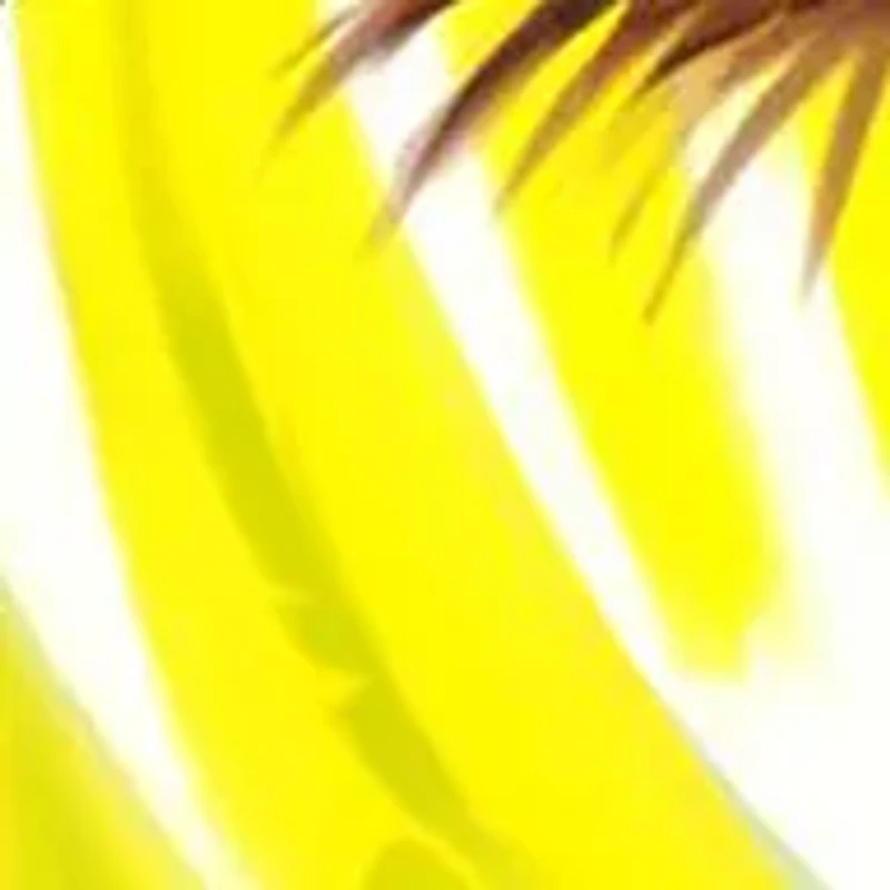 Saus und Brau's Kids Game