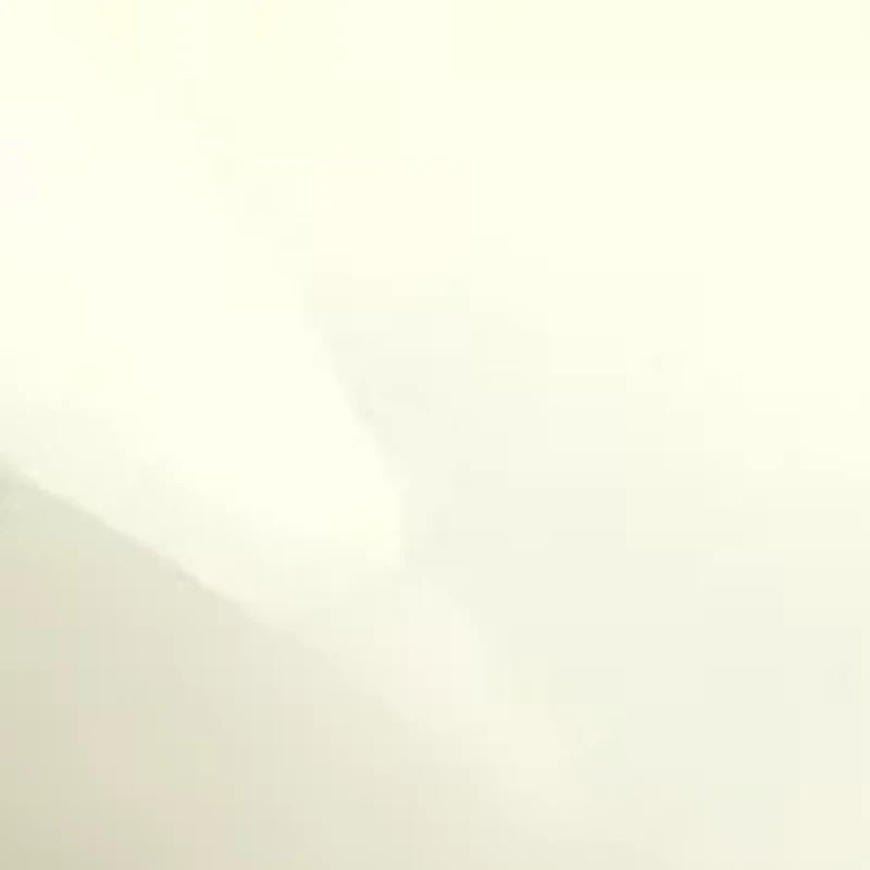 Remote Control Rainbow Pup