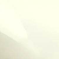 Remote Control Rainbow Pup