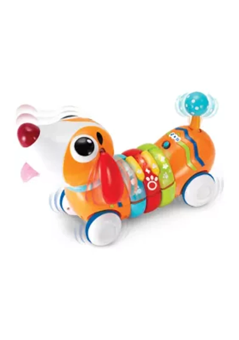 Remote Control Rainbow Pup