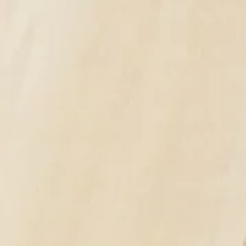 Learning Robot Walker