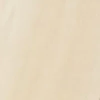 Learning Robot Walker