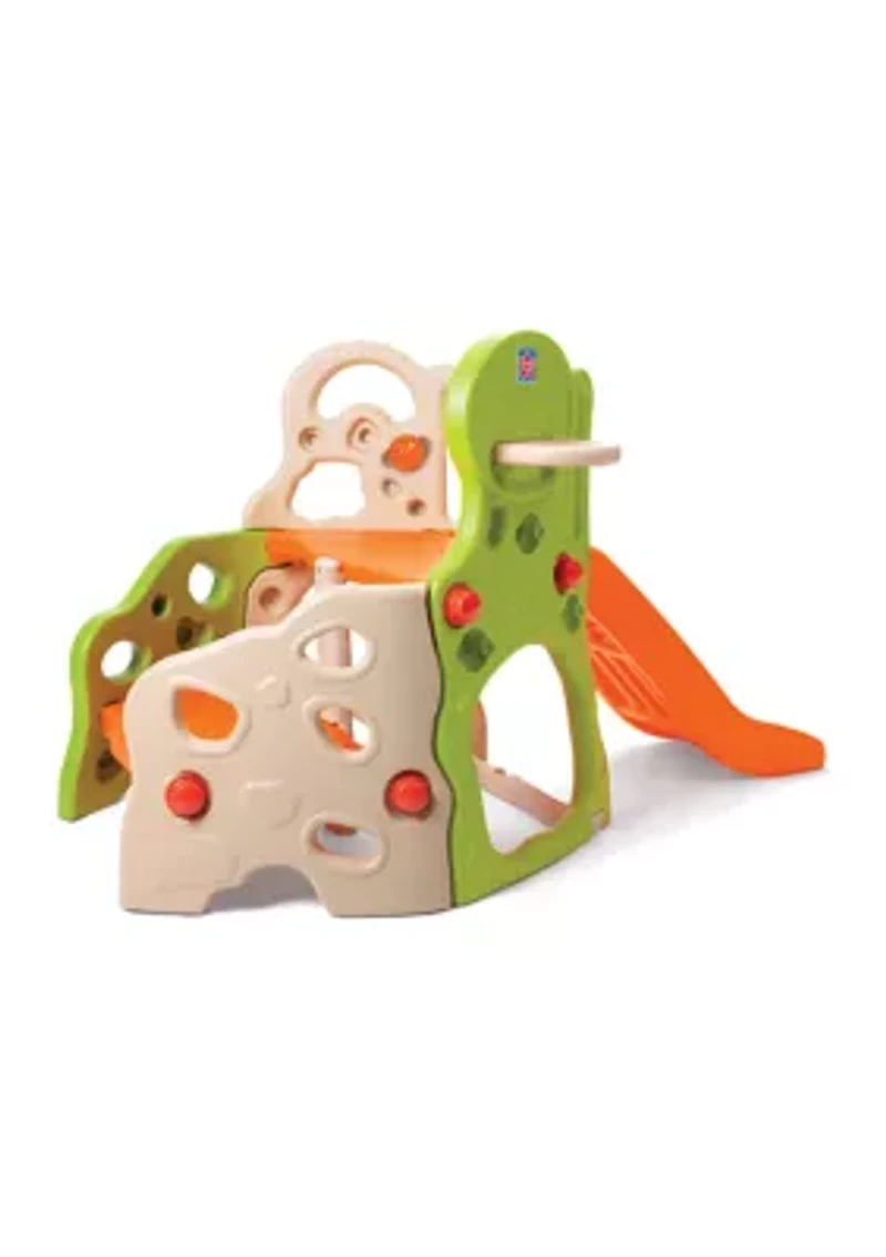 Lil Adventurers Climber & Slide