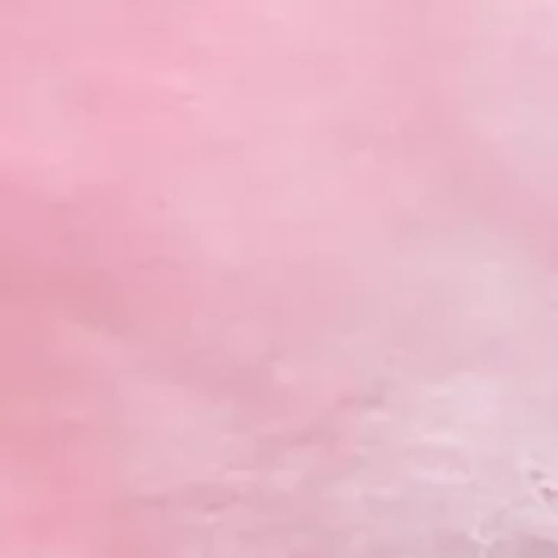 Spring Pink Horse with Sound