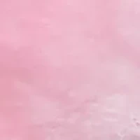 Spring Pink Horse with Sound