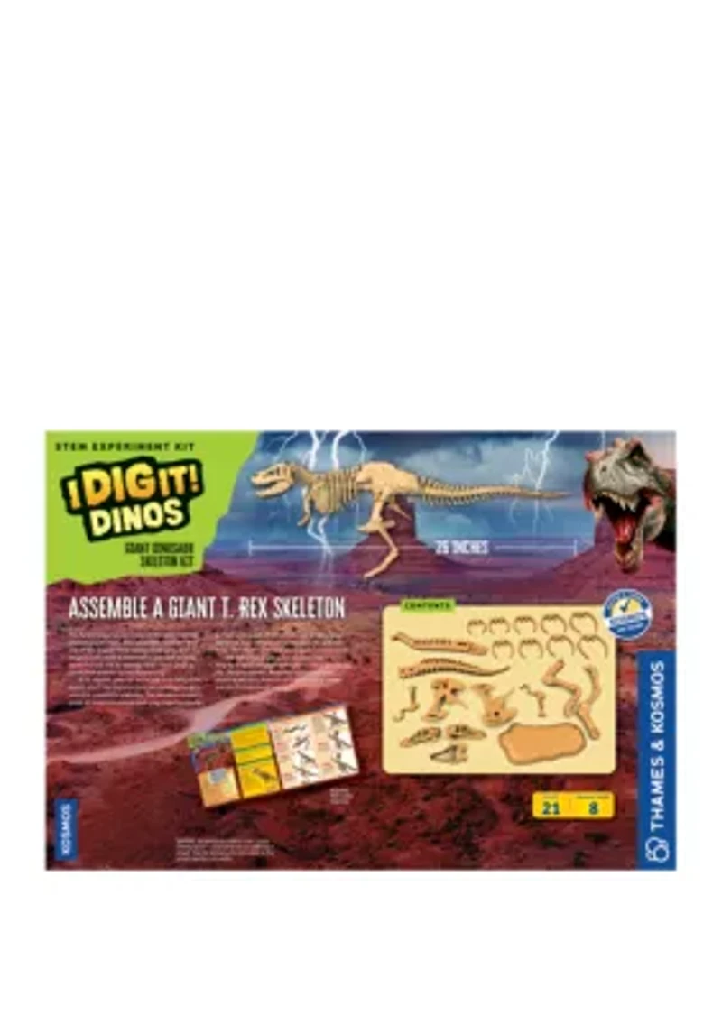 Giant Dinosaur Skeleton Kit