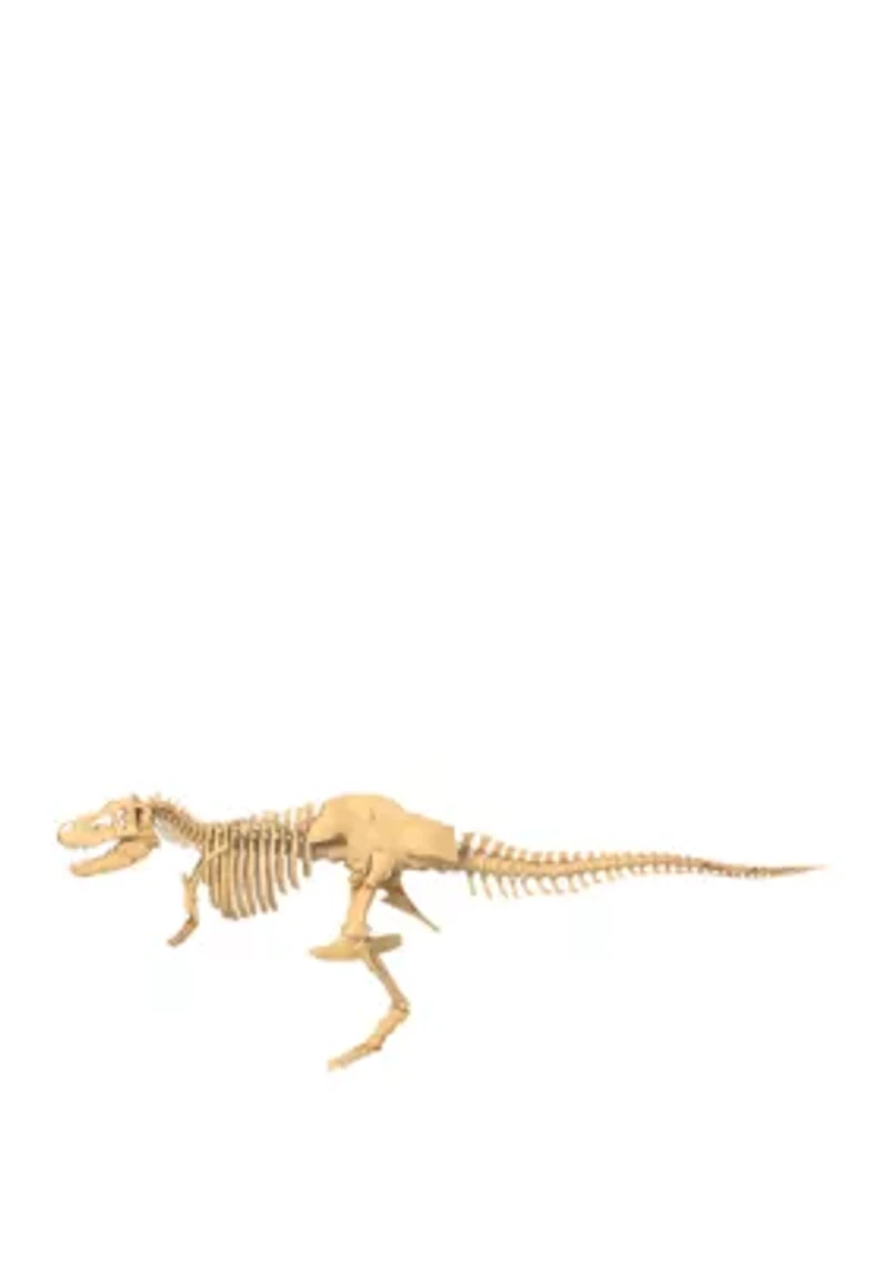 Giant Dinosaur Skeleton Kit