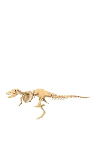 Giant Dinosaur Skeleton Kit