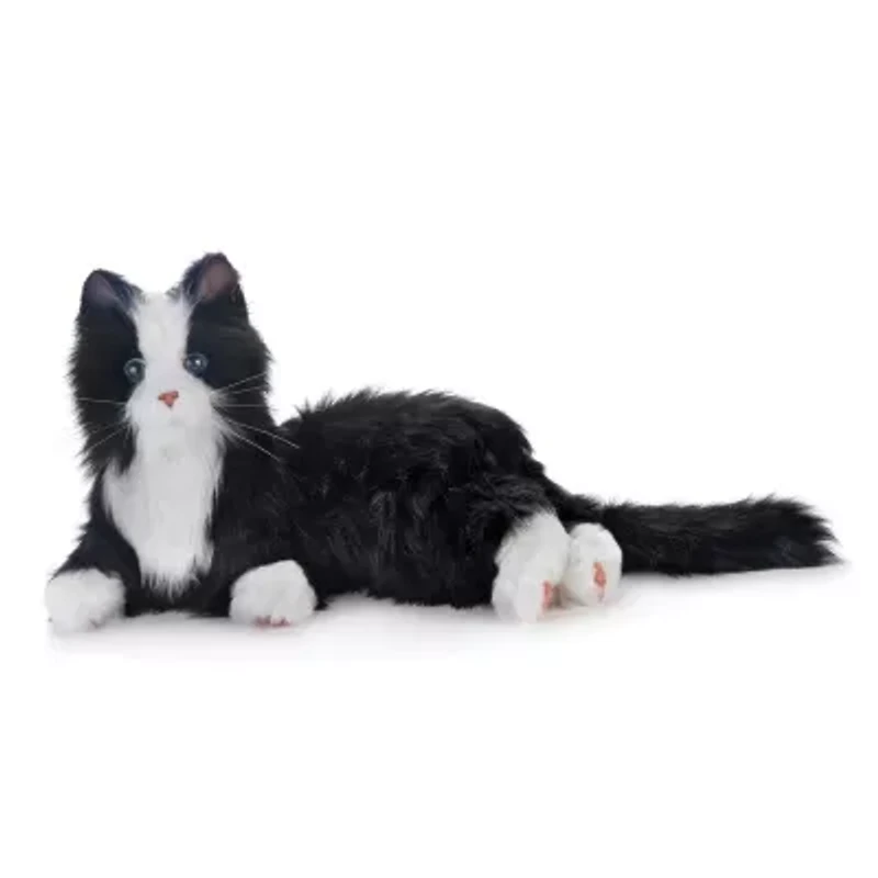 Companion Pet (Black and White Tuxedo Cat)