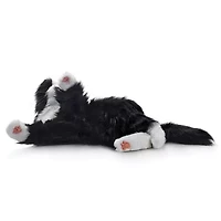 Companion Pet (Black and White Tuxedo Cat)