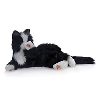 Companion Pet (Black and White Tuxedo Cat)