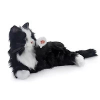 Companion Pet (Black and White Tuxedo Cat)