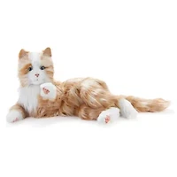 Companion Pet (Orange Tabby Cat)