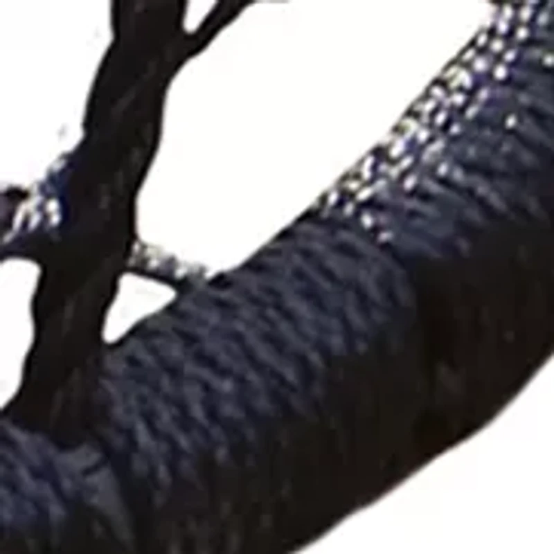 Web Riderz 39" Web Swing