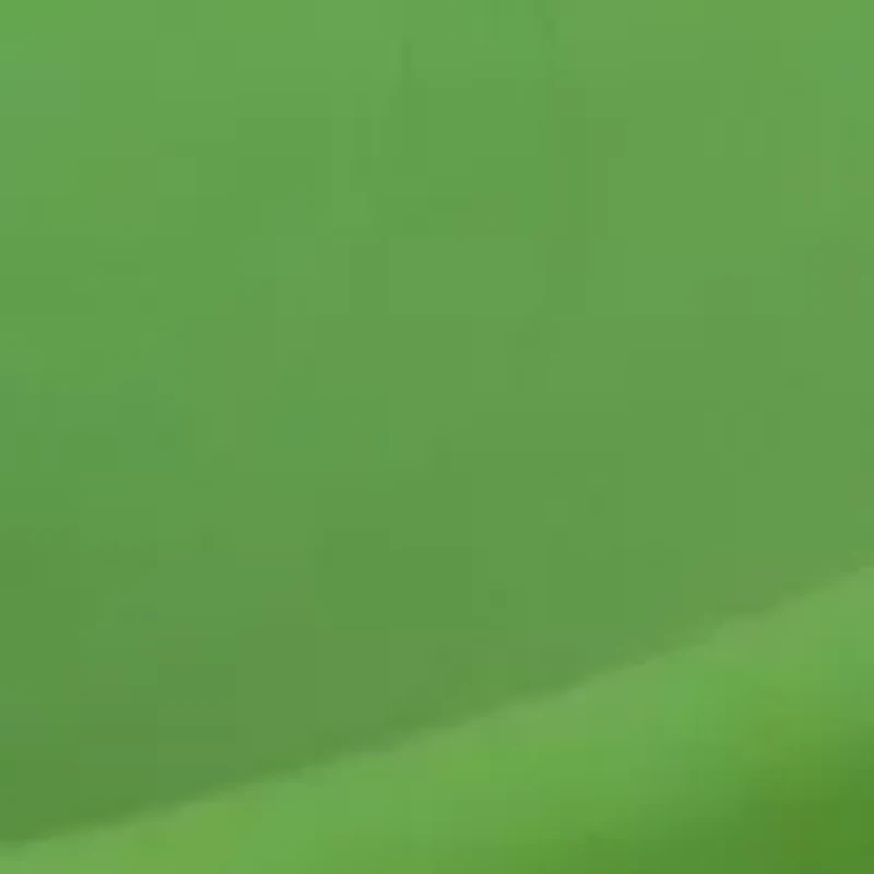 Air Riderz Saucer Swing