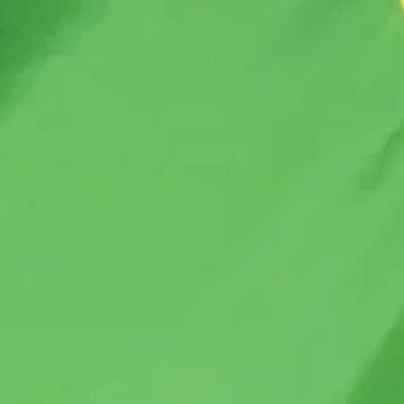 Pop-Up 6 Feet Long Caterpillar Play Tunnel For Pets & Kids