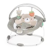 InLighten Baby Bouncer Seat with Light Up Toy Bar, Nate