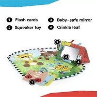 Discovery Garden Tummy Time Mat & Mirror, Ages 0+ Months