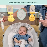 Disney Baby Winnie the Pooh Classic Pals Vibrating Bouncer