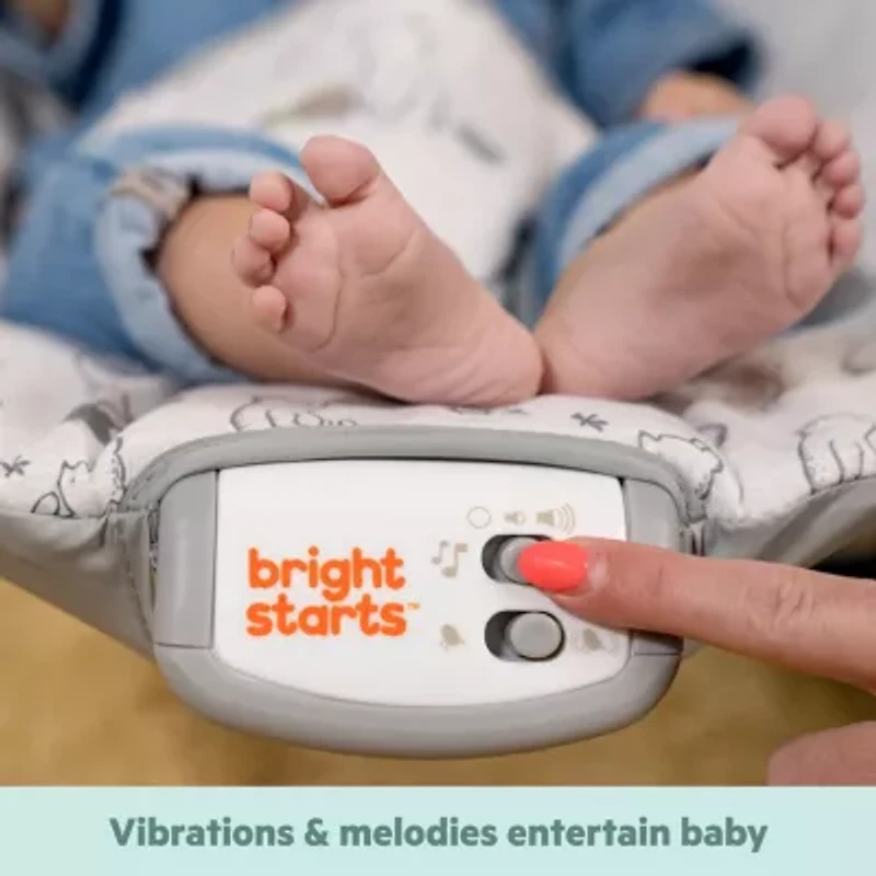 Disney Baby Winnie the Pooh Classic Pals Vibrating Bouncer