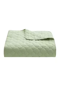 Eva 5 Piece Comforter/Quilt Set