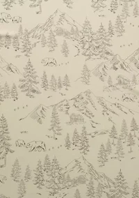 Turkish Cotton Double-Brushed Lodge Printed Flannel Bed Sheet Set