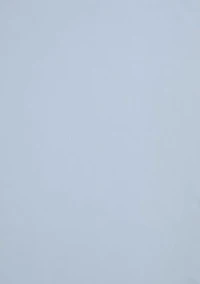 Satin Bliss Microfiber Pillowcase Set