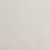 Chelsie Vine Cotton Sheet Set