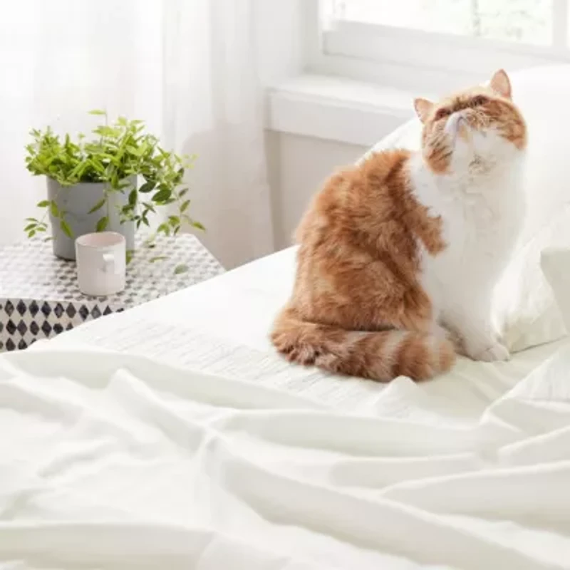 Hotel Luxury Embellished Hem Sheet Set